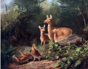 Deer Family And Quails Paint By Numbers