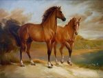 Brown Horses Paint By Numbers