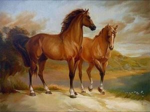 Brown Horses Paint By Numbers