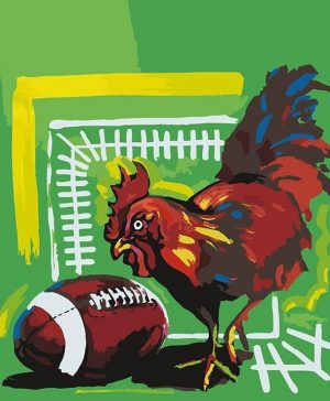 Rooster And Rugby Ball Paint By Numbers