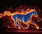 Fire Horse Animals Paint By Numbers