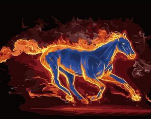 Fire Horse Animals Paint By Numbers