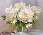 White Peonies Vase Paint By Numbers