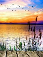 Sunset Lakeside Paint By Numbers