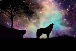 Wolf Silhouette Paint By Numbers