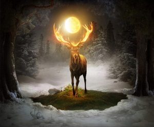 Deer And Full Moon Paint By Numbers