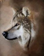 Sand Storm Wolf Paint By Numbers