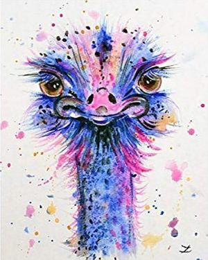 Ostrich Bird Paint By Numbers