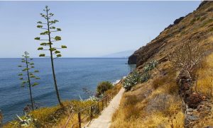 Hill On a Sea Paint By Numbers