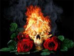 Fire Skull And Roses Paint By Numbers