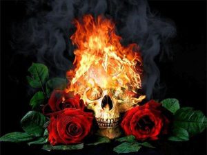 Fire Skull And Roses Paint By Numbers