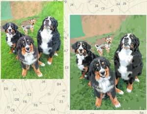 custom photo paint by numbers