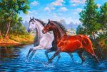 White And Brown Horses Paint By Numbers
