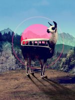 llama Car Animals Paint By Numbers