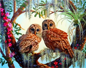 Two Owls Paint By Numbers