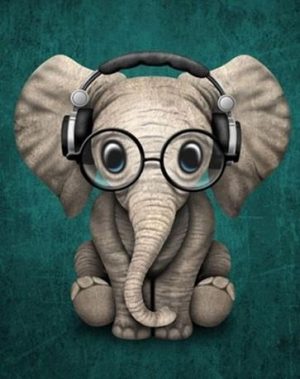 Elephant And Headphones Paint By Numbers