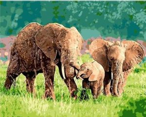 Bull Elephant Family Paint By Numbers
