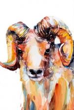 Colorful Sheep Paint By Numbers