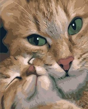 Green Eyes Cat Paint By Numbers