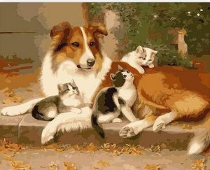 Collie And Three Kittens Paint By Numbers