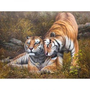 Tigers Cuddling Paint By Numbers