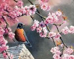 Bird And Cherry Blossoms Branch Paint By Numbers