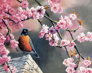 Bird And Cherry Blossoms Branch Paint By Numbers