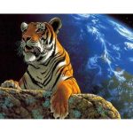 Space Tiger Paint By Numbers