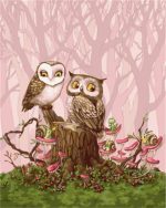 Baby Owls Paint By Numbers