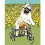 Pug Riding Tricycle Paint By Numbers