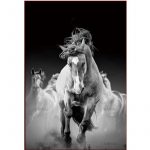 Black And White Horses Paint By Numbers