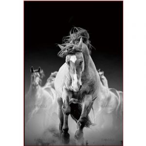 Black And White Horses Paint By Numbers