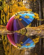Colorful Umbrella Reflection Paint By Numbers