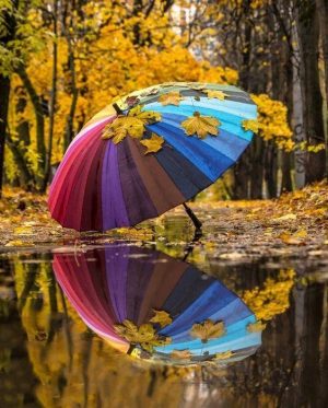 Colorful Umbrella Reflection Paint By Numbers