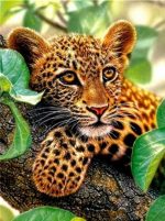 Leopard Cub Paint By Numbers