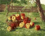 Apples Basket Paint By Numbers
