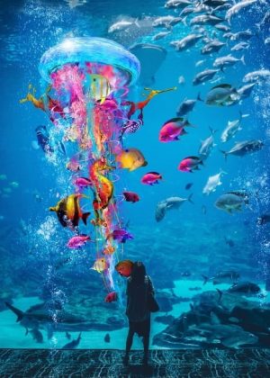 Jellyfish And Fish Paint By Numbers