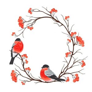 Eurasian Bullfinches Paint By Numbers