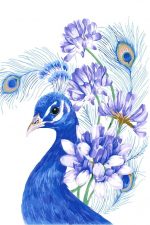Blue Peacock Paint By Numbers