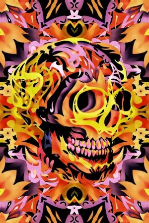 Bohemian Skull Abstract Paint By Numbers