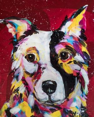 Border Collie Dog Paint By Numbers