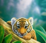 Tiger Cub Paint By Numbers