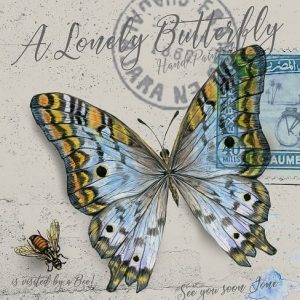 Vintage Butterfly Paint By Numbers