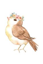 Carolina Wren Paint By Numbers