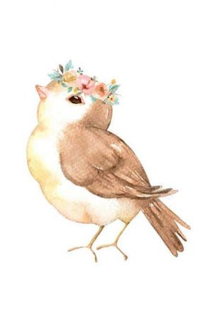 Carolina Wren Paint By Numbers