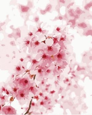 Cherry Blossoms Flowers Paint By Numbers
