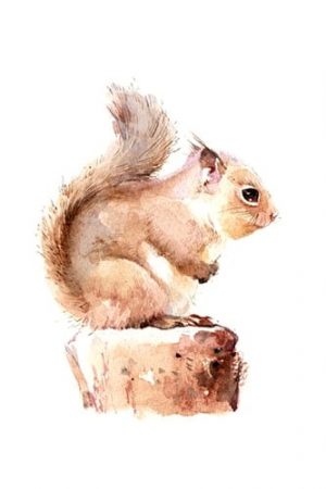 Chipmunk Squirrel Paint By Numbers