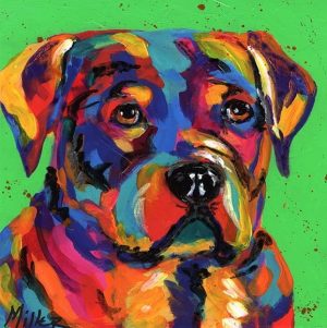 Colorful Boxer Dog Paint By Numbers
