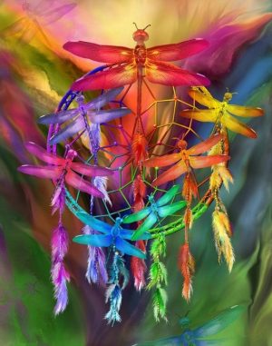 Dream Catcher Dragonflies Paint By Numbers