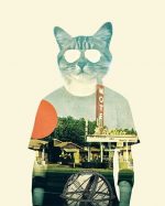 Cool Cat Paint By Numbers